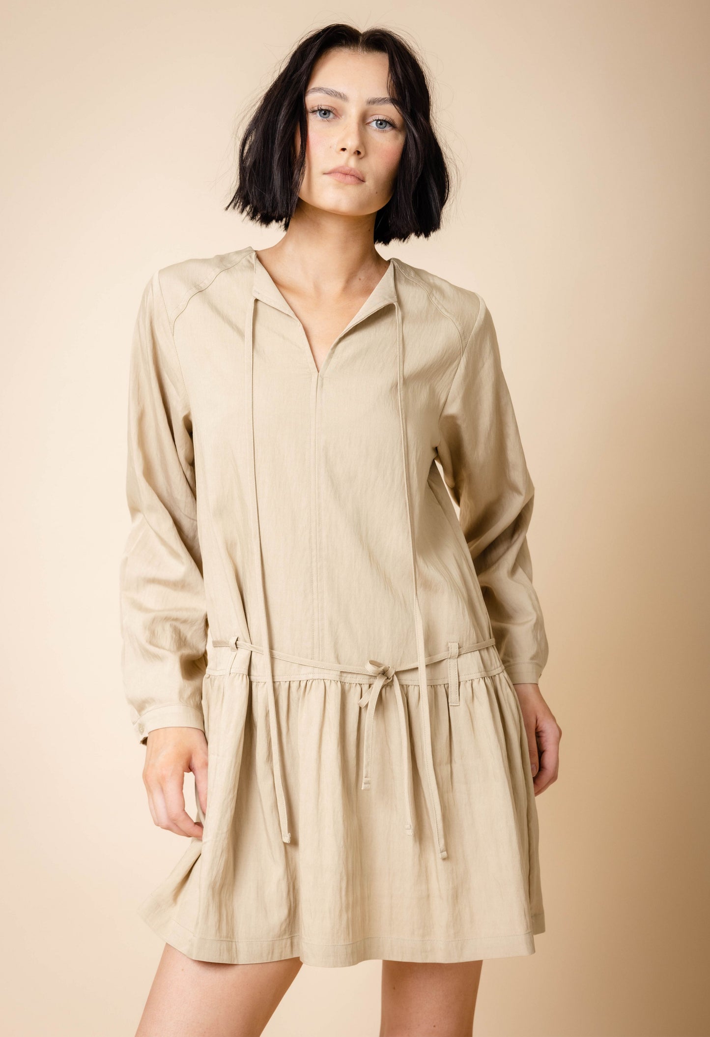 Rae Long Sleeve Pleated Mini Dress