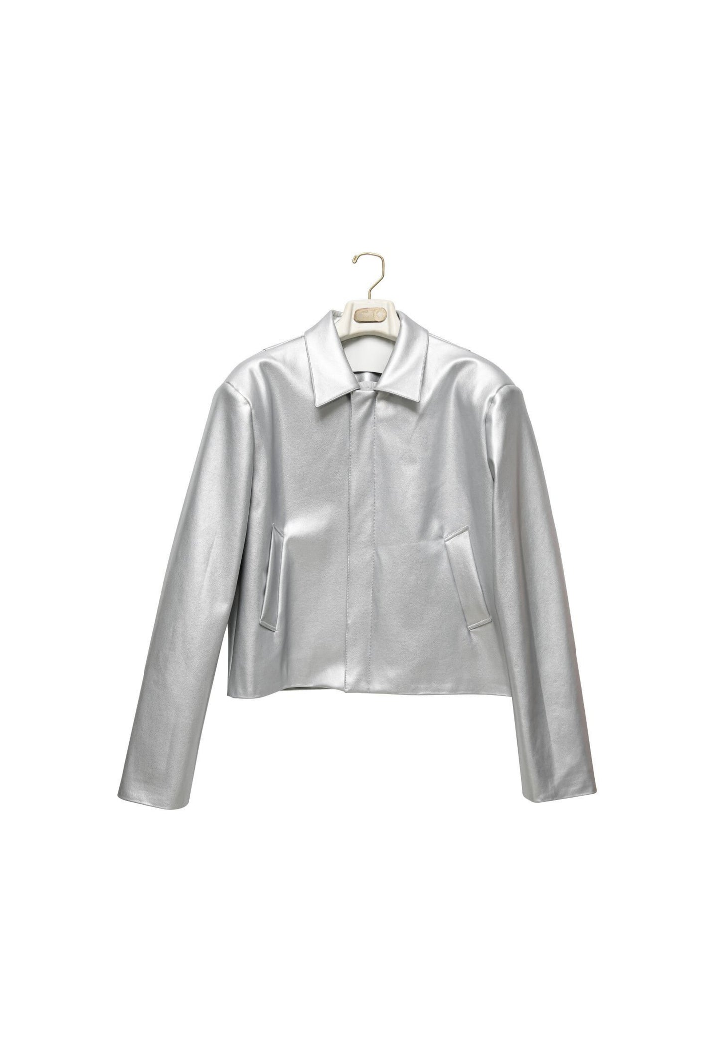 Skylar Jacket In Silver