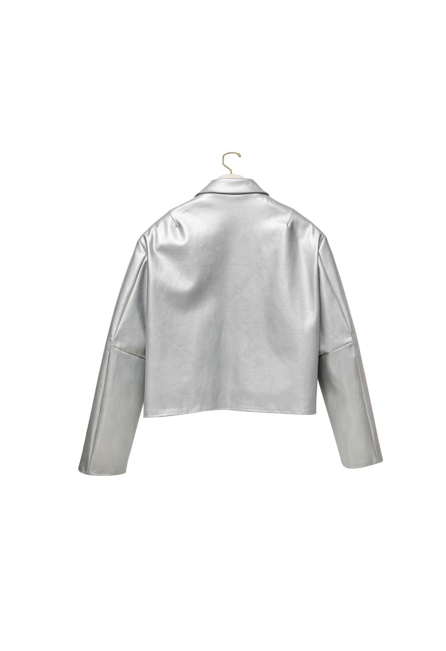 Skylar Jacket In Silver